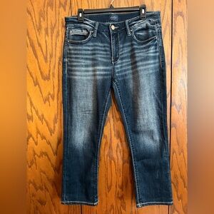 Daytrip Virgo Jeans Size 30 Dark Wash Stretch Bootcut Flare Denim